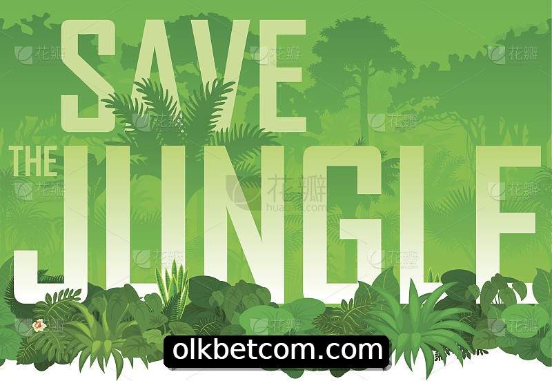 Integração de APIs olkbet